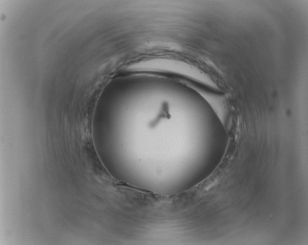 X0000073930965200609082259