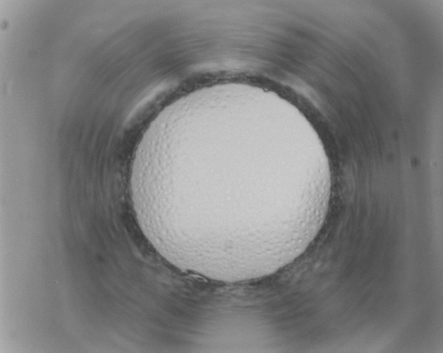 X0000073930967200609082259