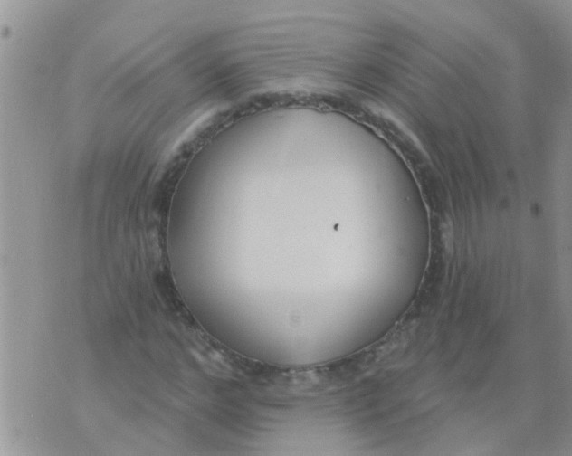 X0000073930968200609082259