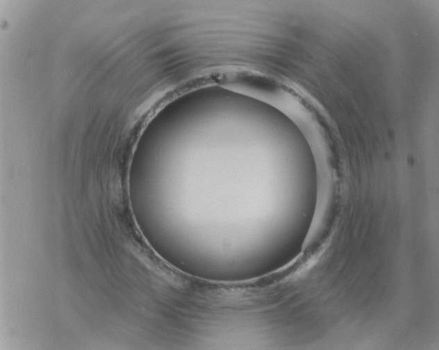 X0000073930969200609082259