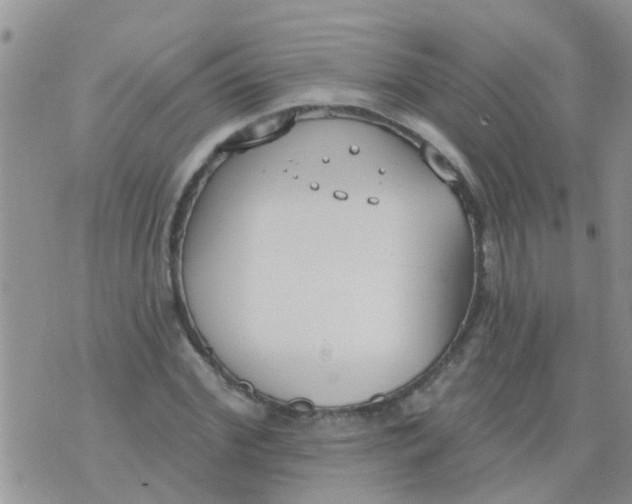 X0000073930972200609082259