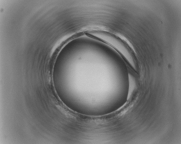 X0000073930973200609082259