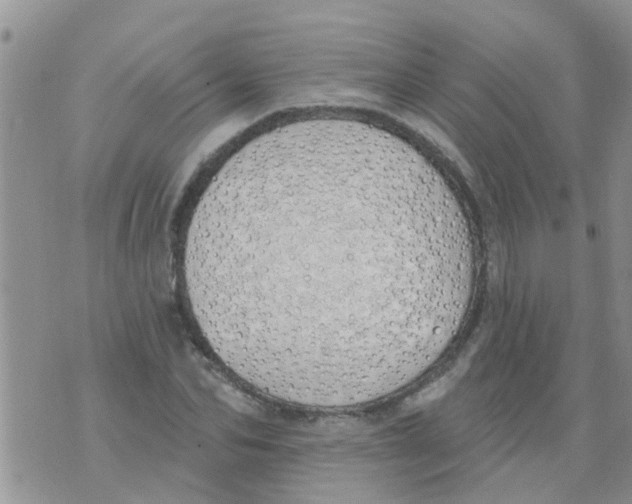 X0000073930974200609082259