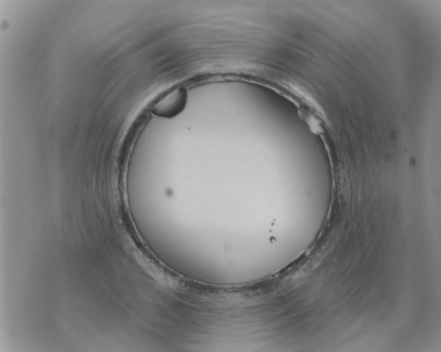 X0000073930976200609082258