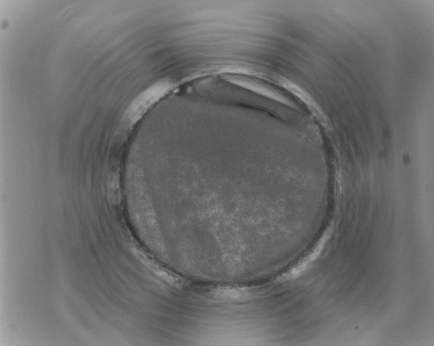 X0000073930977200609082258