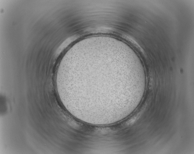 X0000073930978200609082258