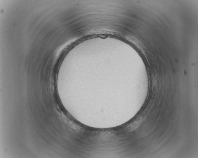 X0000073930979200609082258