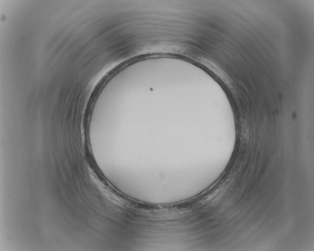 X0000073930980200609082258