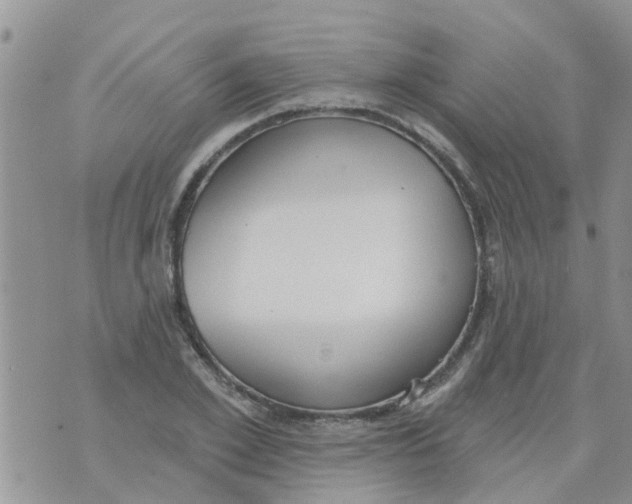 X0000073930981200609082258