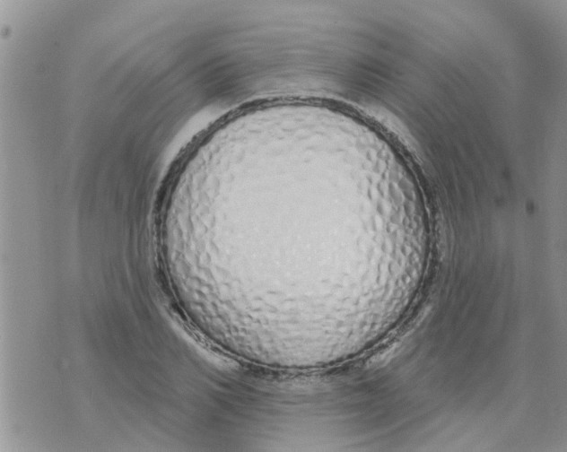 X0000073930982200609082258