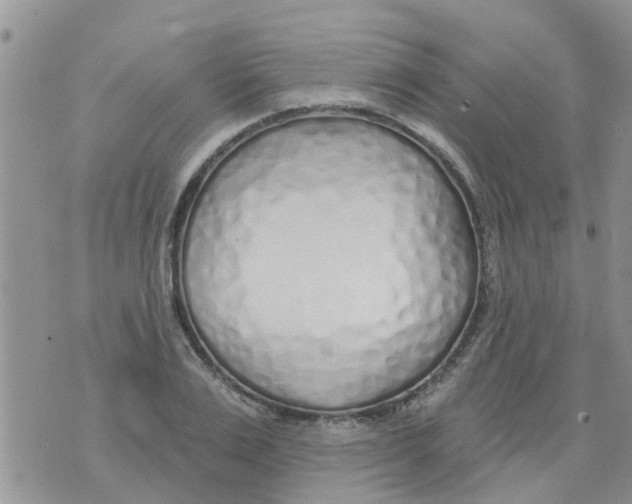 X0000073930983200609082258