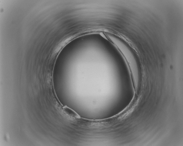 X0000073930985200609082258