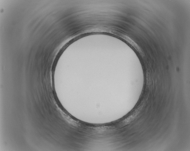 X0000073930988200609082258