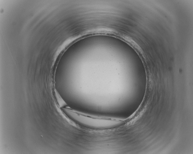 X0000073930989200609082258