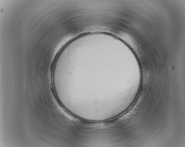 X0000073930990200609082258