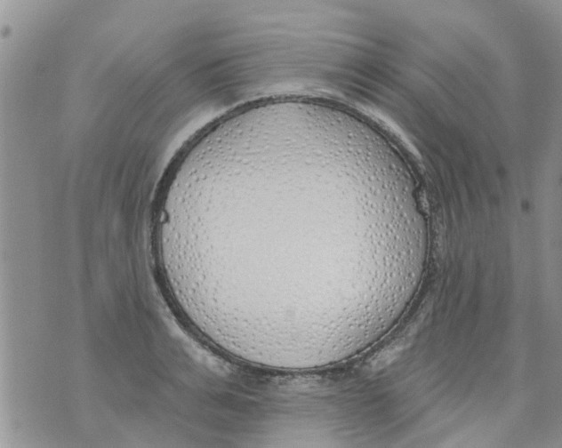 X0000073930991200609082258