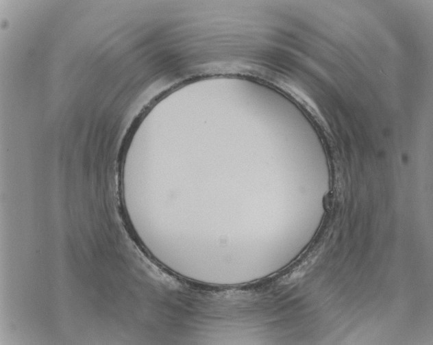 X0000073930992200609082258