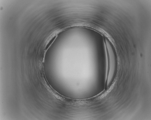 X0000073930993200609082258