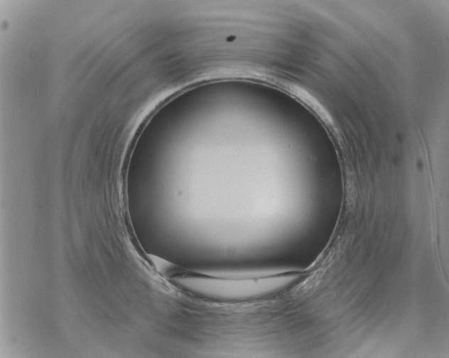 X0000073930996200609082258