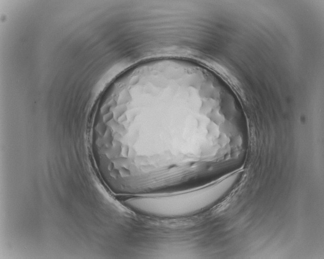 X0000073930998200609082258