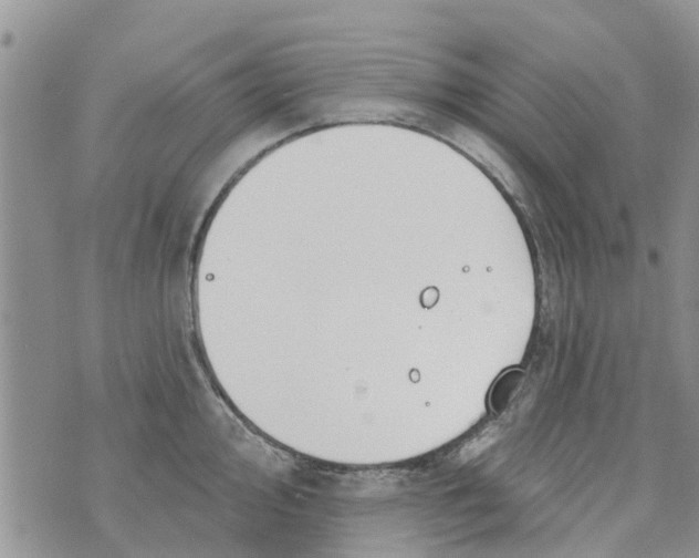 X0000073931000200609082258