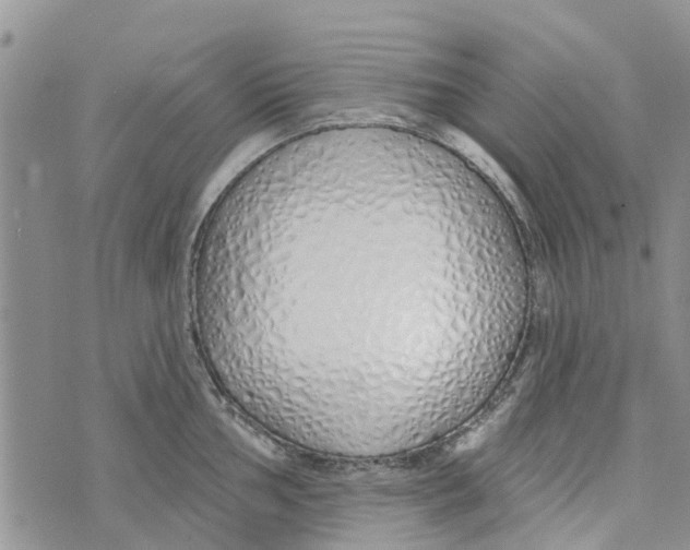 X0000073931002200609082258