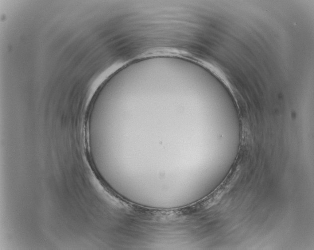 X0000073931003200609082258