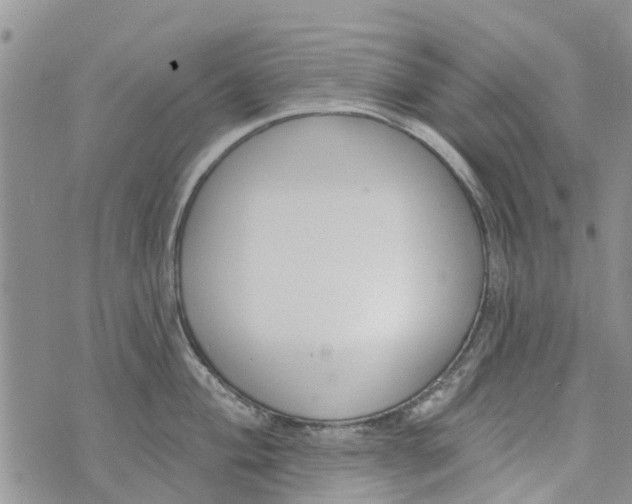 X0000073931004200609082258