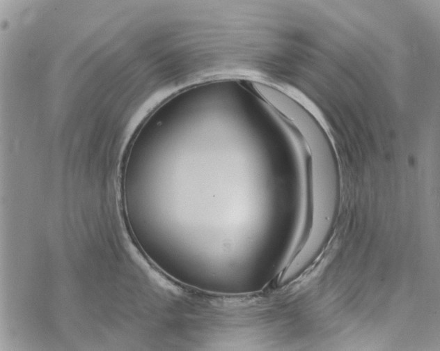 X0000073931005200609082258