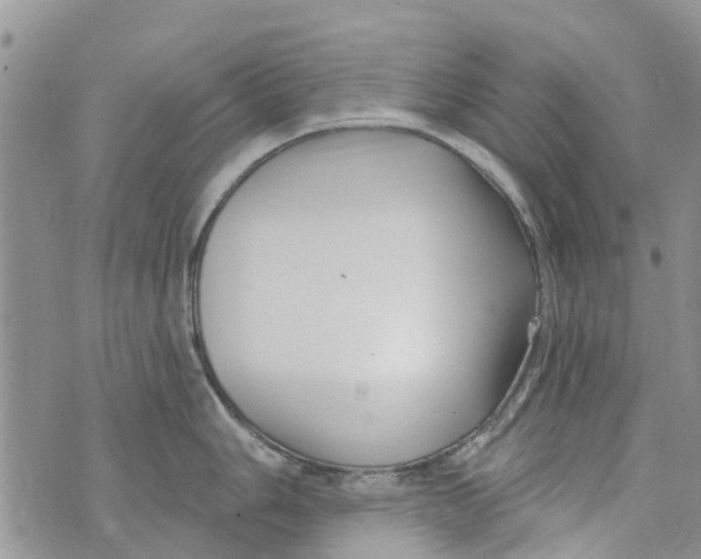 X0000073931006200609082258