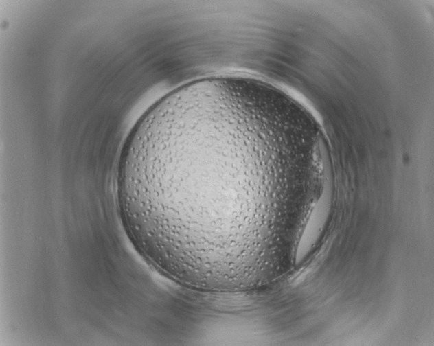 X0000073931007200609082258