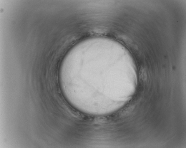 X0000073931009200609082257