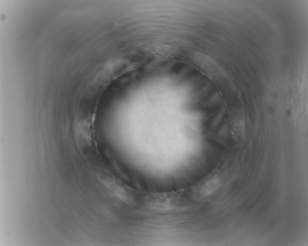 X0000073931010200609082257