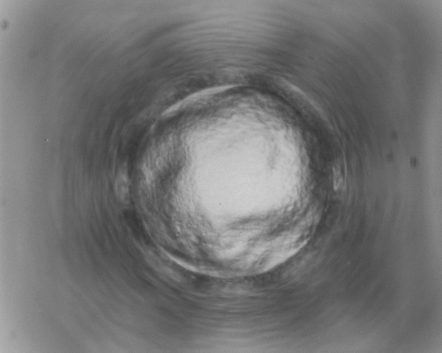 X0000073931011200609082257