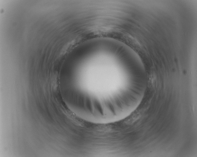 X0000073931012200609082257