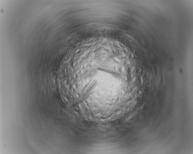 X0000073931013200609082257