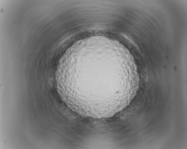 X0000073931015200609082257