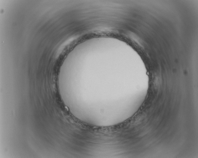 X0000073931016200609082257