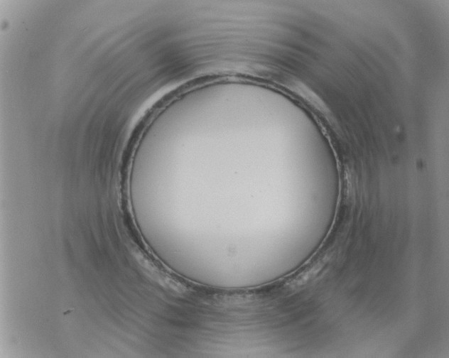 X0000073931020200609082257