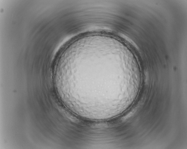 X0000073931021200609082257