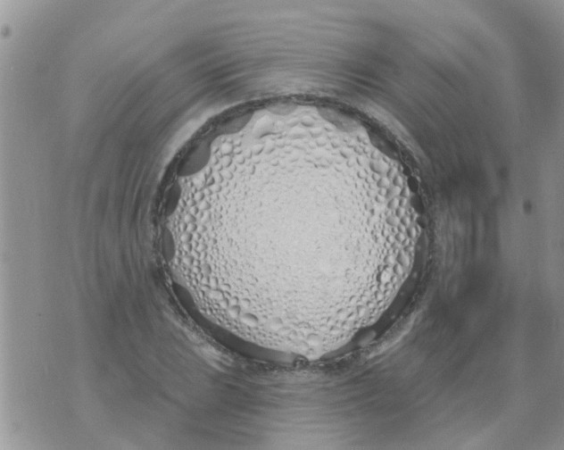 X0000073931023200609082257