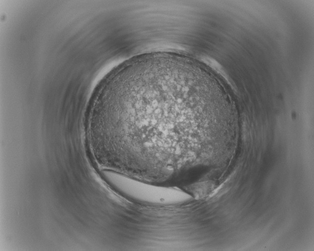 X0000073931024200609082257