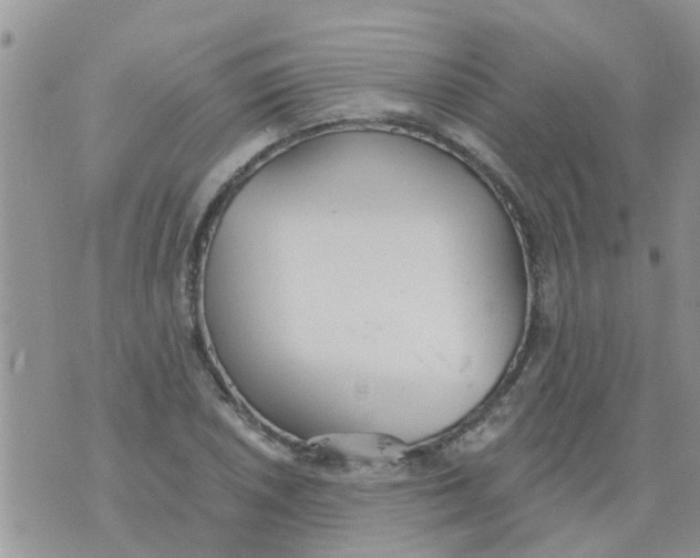 X0000073931026200609082257