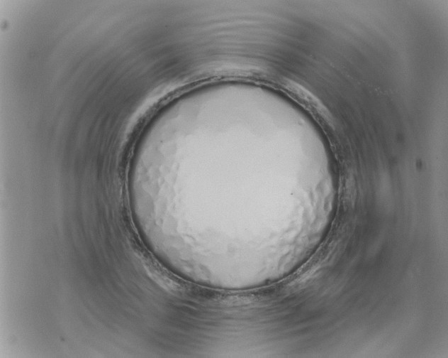 X0000073931027200609082257