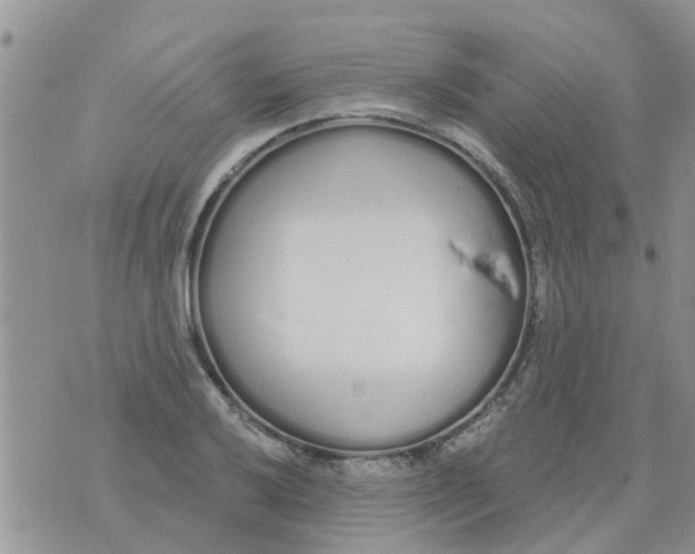 X0000073931032200609082258