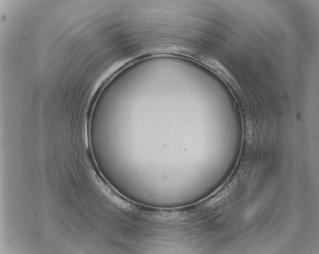 X0000073931036200609082258