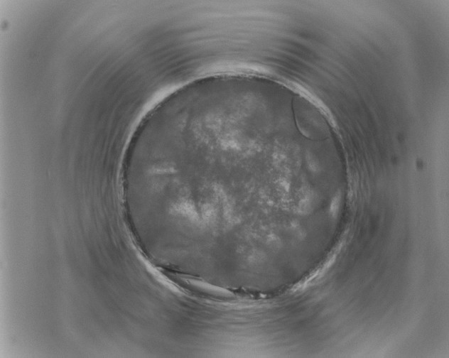 X0000073931037200609082258