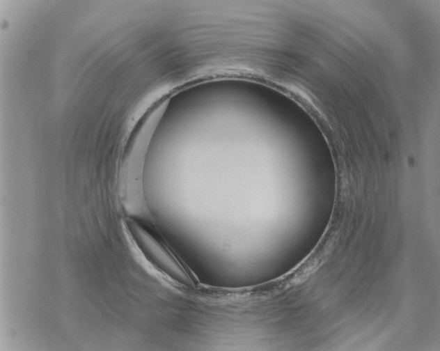 X0000073931038200609082258