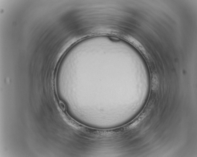 X0000073931039200609082258