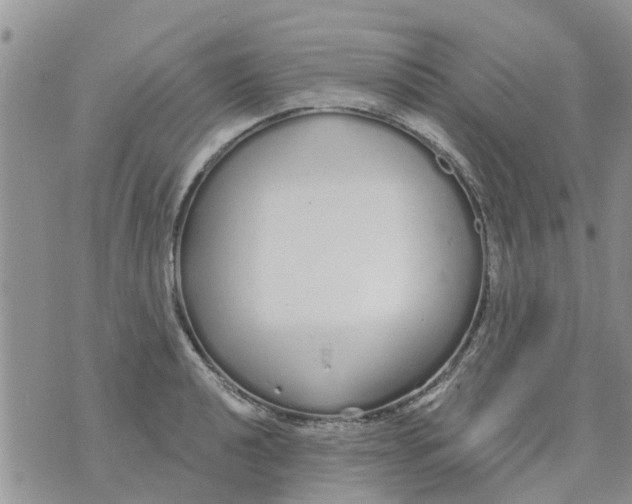 X0000073931040200609082258